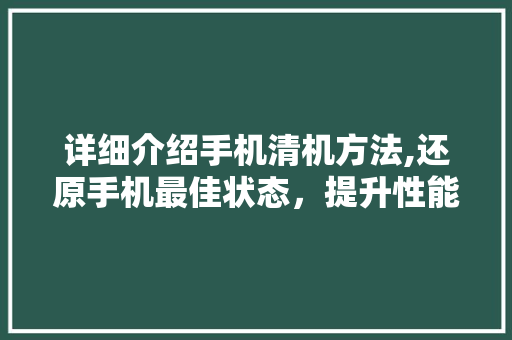 详细介绍手机清机方法,还原手机最佳状态，提升性能与续航 操作系统