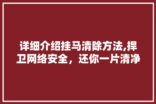详细介绍挂马清除方法,捍卫网络安全，还你一片清净天空 电脑故障维修