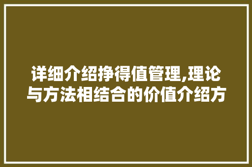 详细介绍挣得值管理,理论与方法相结合的价值介绍方法 电脑故障维修