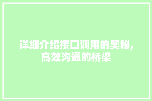 详细介绍接口调用的奥秘,高效沟通的桥梁 电脑基础