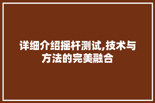 详细介绍摇杆测试,技术与方法的完美融合 电脑基础