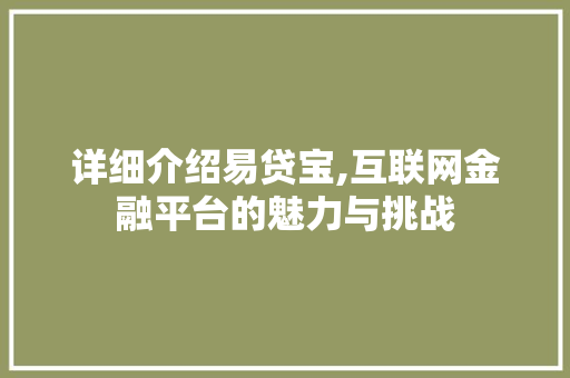 详细介绍易贷宝,互联网金融平台的魅力与挑战 电脑故障维修
