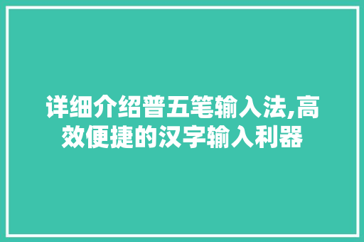 详细介绍普五笔输入法,高效便捷的汉字输入利器 电脑基础
