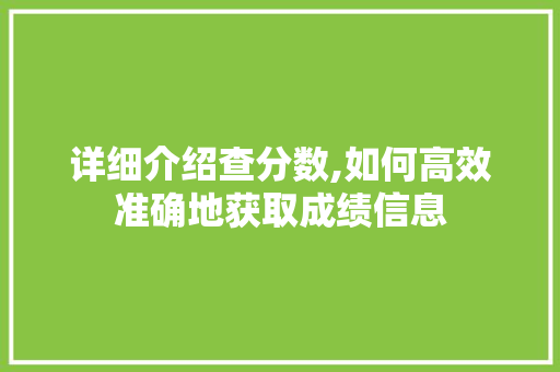 详细介绍查分数,如何高效准确地获取成绩信息