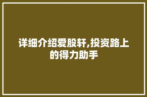 详细介绍爱股轩,投资路上的得力助手 电脑故障维修