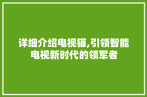详细介绍电视猫,引领智能电视新时代的领军者 电脑故障维修 详细介绍电视猫,引领智能电视新时代的领军者 电脑故障维修