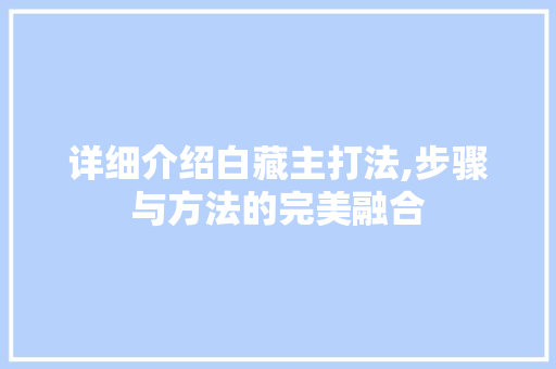 详细介绍白藏主打法,步骤与方法的完美融合 电脑故障维修