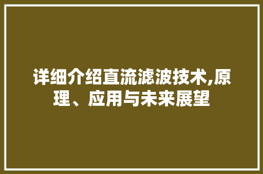 详细介绍直流滤波技术,原理、应用与未来展望 电脑故障维修