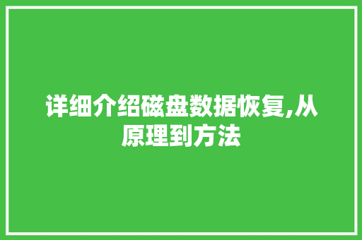 详细介绍磁盘数据恢复,从原理到方法
