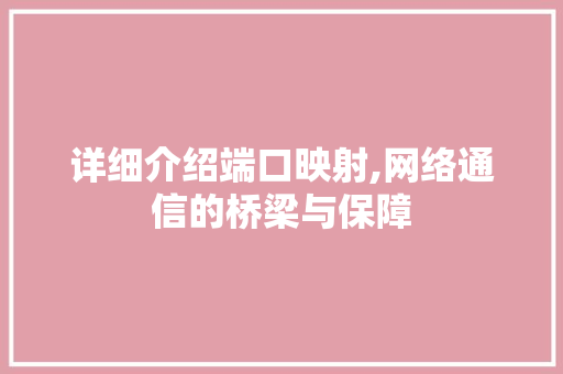 详细介绍端口映射,网络通信的桥梁与保障