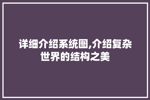 详细介绍系统图,介绍复杂世界的结构之美