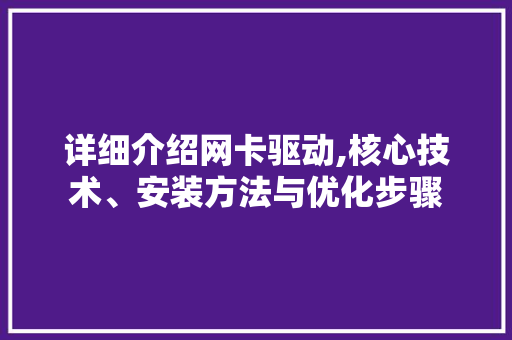 详细介绍网卡驱动,核心技术、安装方法与优化步骤