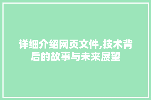 详细介绍网页文件,技术背后的故事与未来展望 电脑故障维修