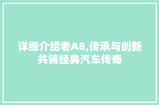 详细介绍老A8,传承与创新共铸经典汽车传奇 电脑配置