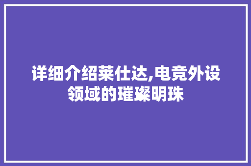 详细介绍莱仕达,电竞外设领域的璀璨明珠 编程语言