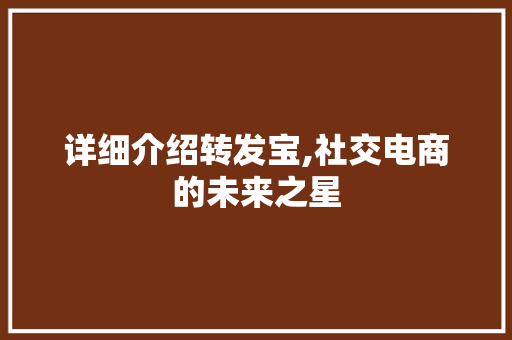 详细介绍转发宝,社交电商的未来之星 编程语言 详细介绍转发宝,社交电商的未来之星 编程语言