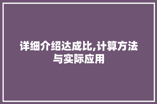 详细介绍达成比,计算方法与实际应用 操作系统