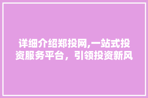 详细介绍郑投网,一站式投资服务平台，引领投资新风向 操作系统