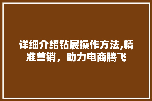 详细介绍钻展操作方法,精准营销，助力电商腾飞 网络技术