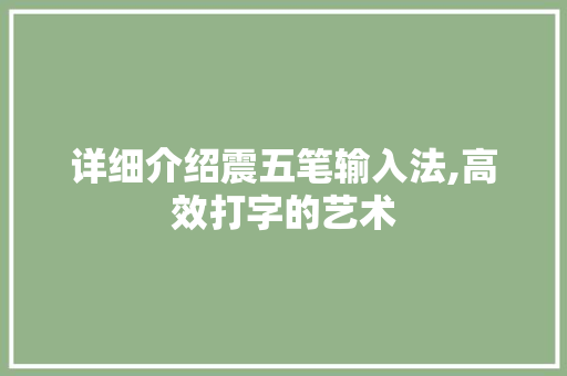 详细介绍震五笔输入法,高效打字的艺术
