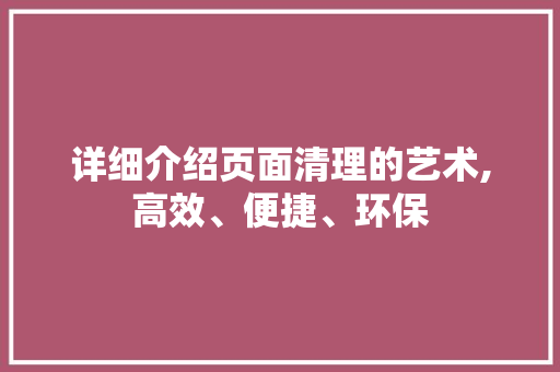 详细介绍页面清理的艺术,高效、便捷、环保 网络技术