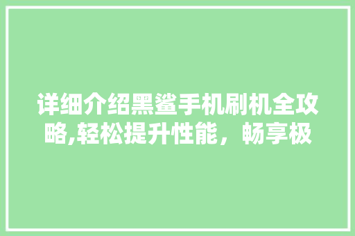 详细介绍黑鲨手机刷机全攻略,轻松提升性能，畅享极致体验