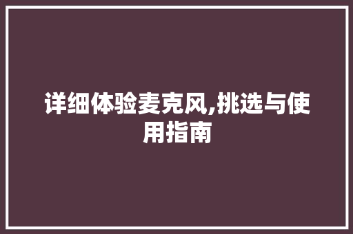 详细体验麦克风,挑选与使用指南 操作系统