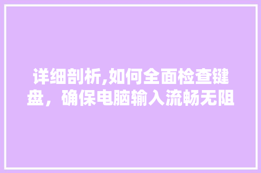 详细剖析,如何全面检查键盘,确保电脑输入流畅无阻 详细剖析,如何全面检查键盘,确保电脑输入流畅无阻