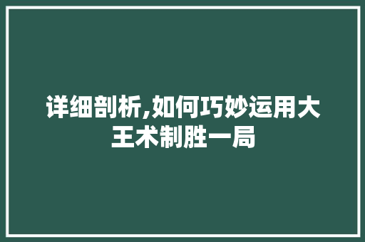 详细剖析,如何巧妙运用大王术制胜一局 电脑故障维修