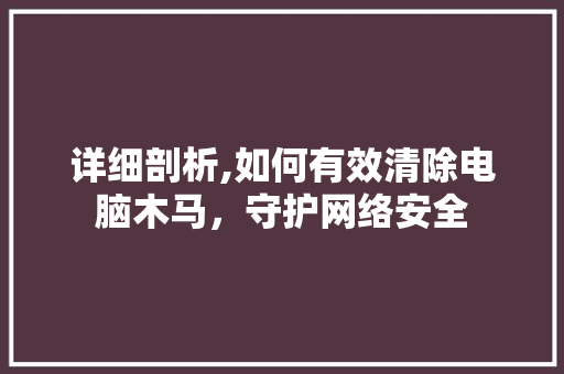 详细剖析,如何有效清除电脑木马，守护网络安全 电脑基础