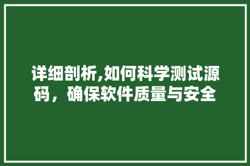 详细剖析,如何科学测试源码，确保软件质量与安全 电脑配置