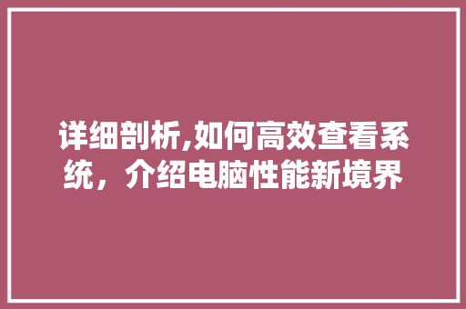 详细剖析,如何高效查看系统，介绍电脑性能新境界