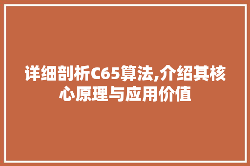 详细剖析C65算法,介绍其核心原理与应用价值