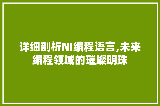 详细剖析NI编程语言,未来编程领域的璀璨明珠