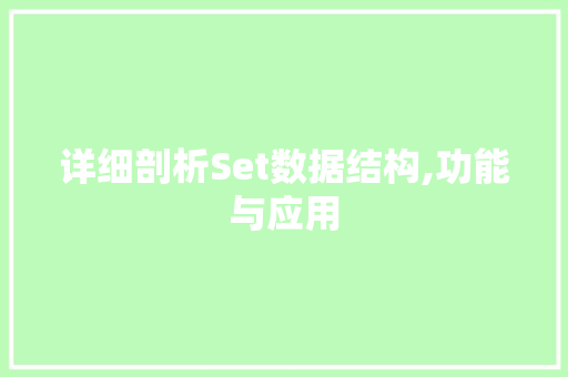 详细剖析Set数据结构,功能与应用