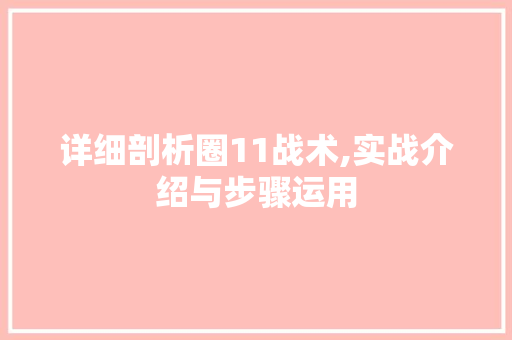 详细剖析圈11战术,实战介绍与步骤运用 编程语言