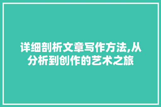 详细剖析文章写作方法,从分析到创作的艺术之旅 操作系统