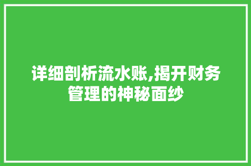 详细剖析流水账,揭开财务管理的神秘面纱 电脑基础
