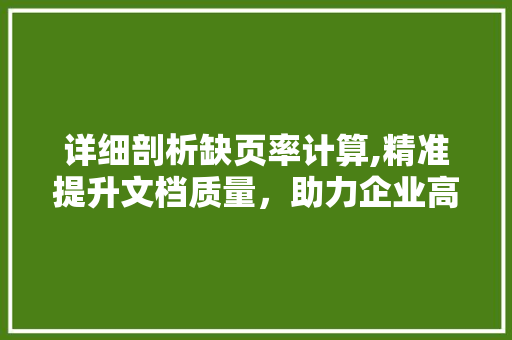 详细剖析缺页率计算,精准提升文档质量，助力企业高效运营 编程语言