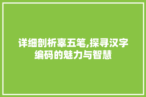 详细剖析辜五笔,探寻汉字编码的魅力与智慧 电脑基础