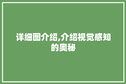 详细图介绍,介绍视觉感知的奥秘 电脑配置 详细图介绍,介绍视觉感知的奥秘 电脑配置