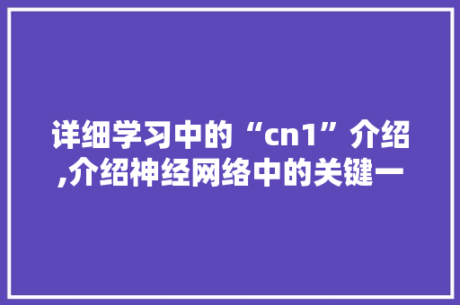 详细学习中的“cn1”介绍,介绍神经网络中的关键一环 操作系统