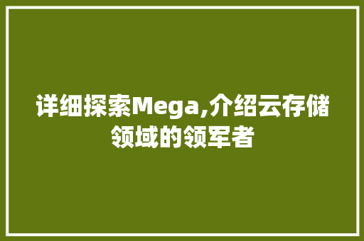 详细探索Mega,介绍云存储领域的领军者