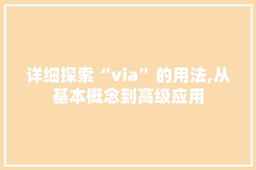 详细探索“via”的用法,从基本概念到高级应用 编程语言