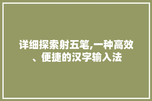 详细探索射五笔,一种高效、便捷的汉字输入法 电脑配置