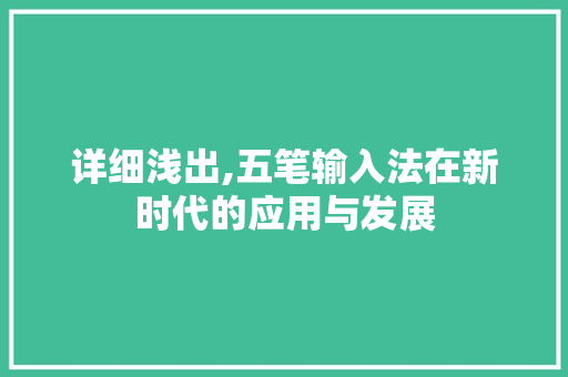详细浅出,五笔输入法在新时代的应用与发展 编程语言