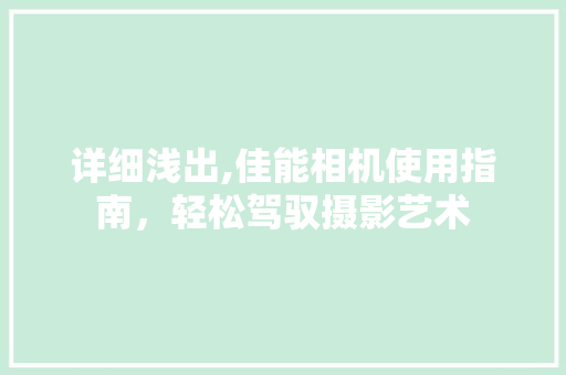 详细浅出,佳能相机使用指南，轻松驾驭摄影艺术 编程语言