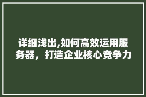 详细浅出,如何高效运用服务器，打造企业核心竞争力