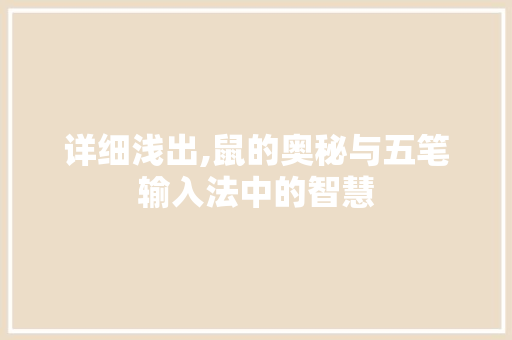 详细浅出,鼠的奥秘与五笔输入法中的智慧 编程语言