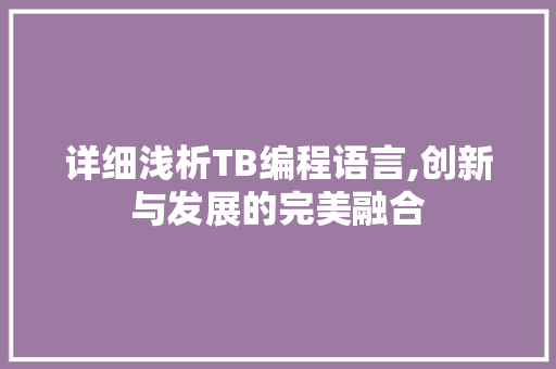 详细浅析TB编程语言,创新与发展的完美融合